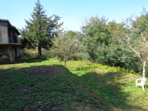 ZONA VALERIANO INDIPENDENTE rif. 1738