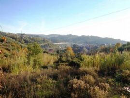 TERRENO EDIFICABILE MQ 9000 rif. 1506